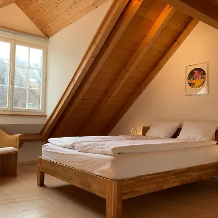 Old Town Loft & Location In * Rapperswil-Jona